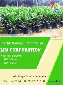 Jual polybag original