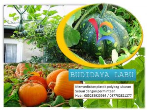 Polybag untuk budidaya tanaman