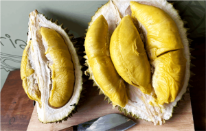 durian musang king