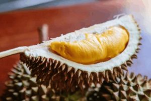 durian duri hitam