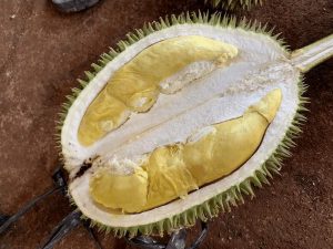 durian petruk
