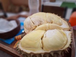 durian montong