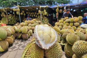 bisnis durian