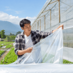 Mengenal Plastik UV Greenhouse yang Wajib Petani Modern Tahu!