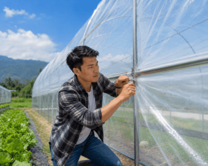 plastik UV greenhouse