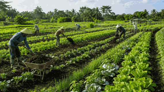 Bukan Sapi Saja! Ini 5 Hewan Penghasil Pupuk Premium Penyubur Tanaman